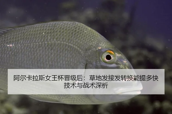 阿尔卡拉斯女王杯晋级后：草地发接发转换能提多快技术与战术深析
